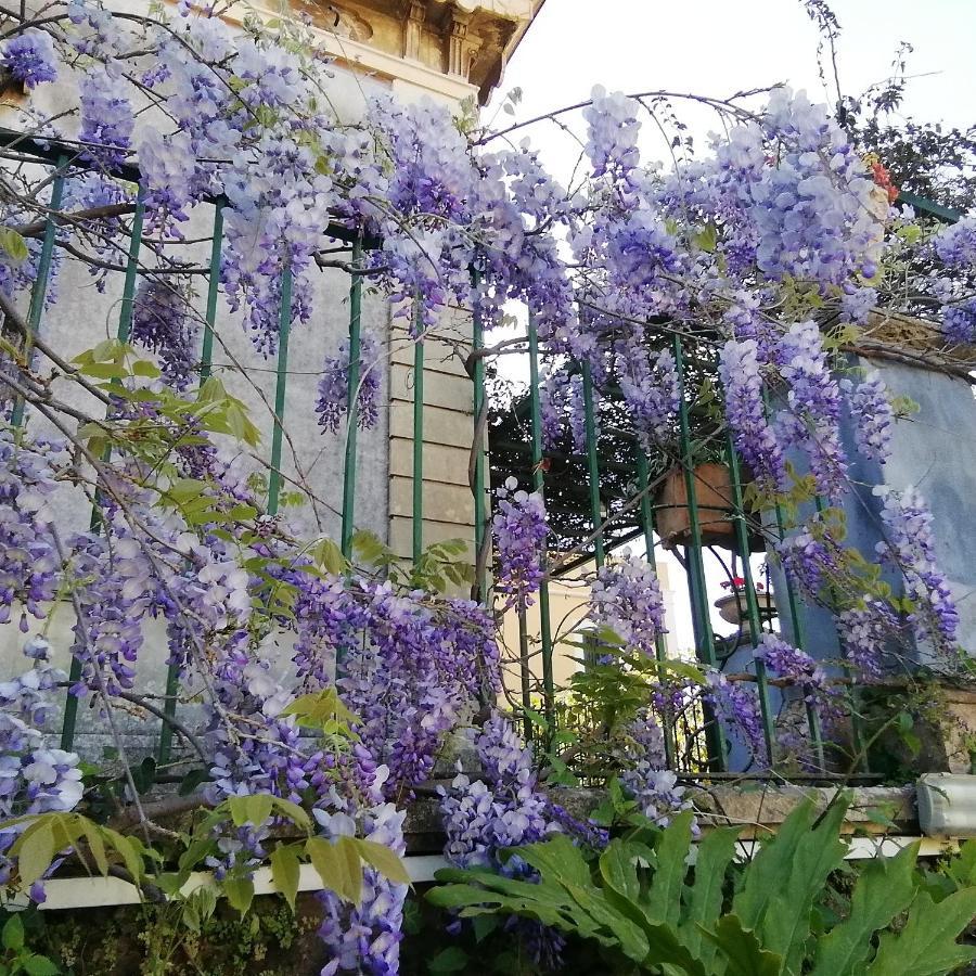 אצ'י קסטלו Villa Manasse מראה חיצוני תמונה